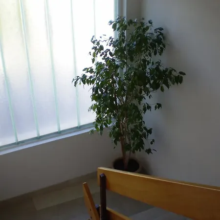 Jurasovic Apartment